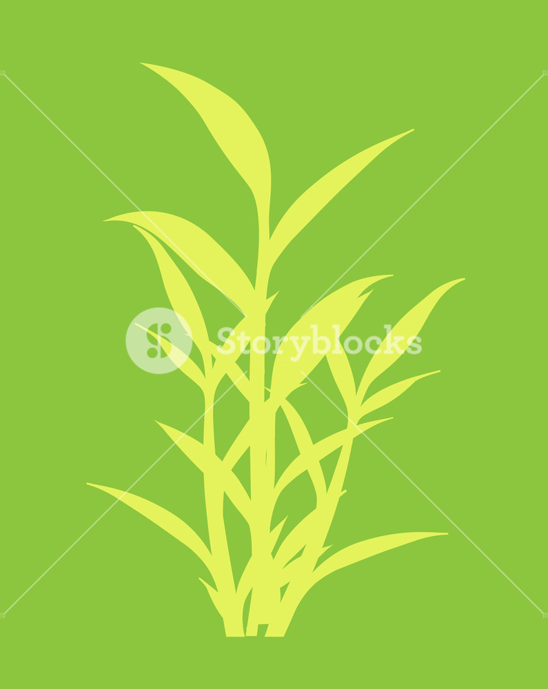795x1000 Shape Of Bamboo Plant Leaves Vector Illustration Royalty Free