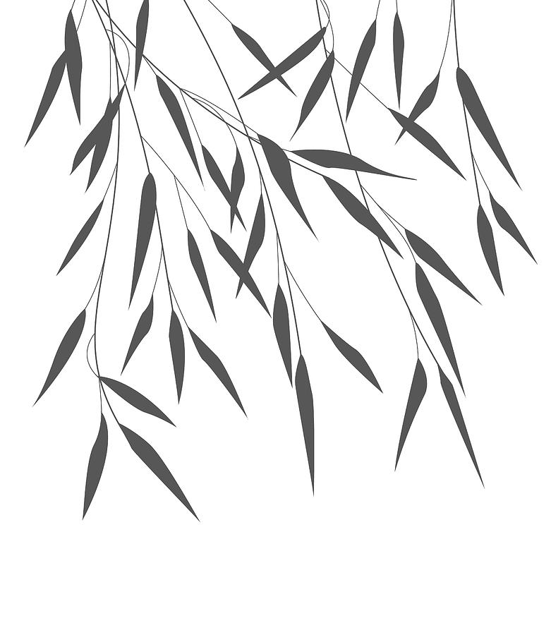 781x900 Vector Bamboo Leaves Drawing
