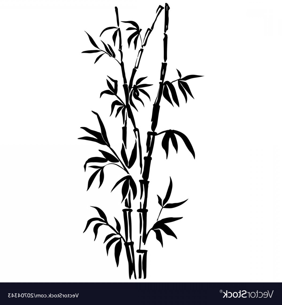 Bamboo Leaves Vector at Vectorified.com | Collection of Bamboo Leaves ...