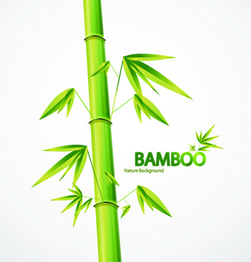Bamboo Free Vector Download 353x368 Bamboo Free Vector Download