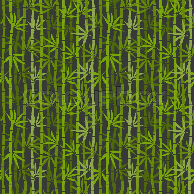 800x800 Green Bamboo Seamless Pattern Vector Stock Vector Colourbox