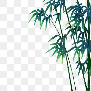 360x360 Bamboo Pattern Png, Vector, And Clipart With Transparent