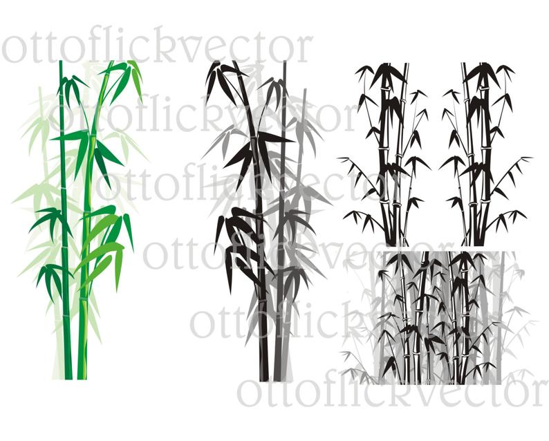 Bamboo Background Frame Vector Clipart Cdr Png Etsy 794x638 Bamboo Background Frame Vector Clipart Cdr Png Etsy