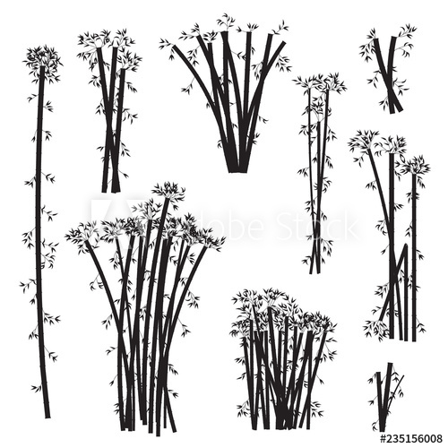 Bamboo Silhouette Illustration Vector 500x500 Bamboo Silhouette Illustration Vector