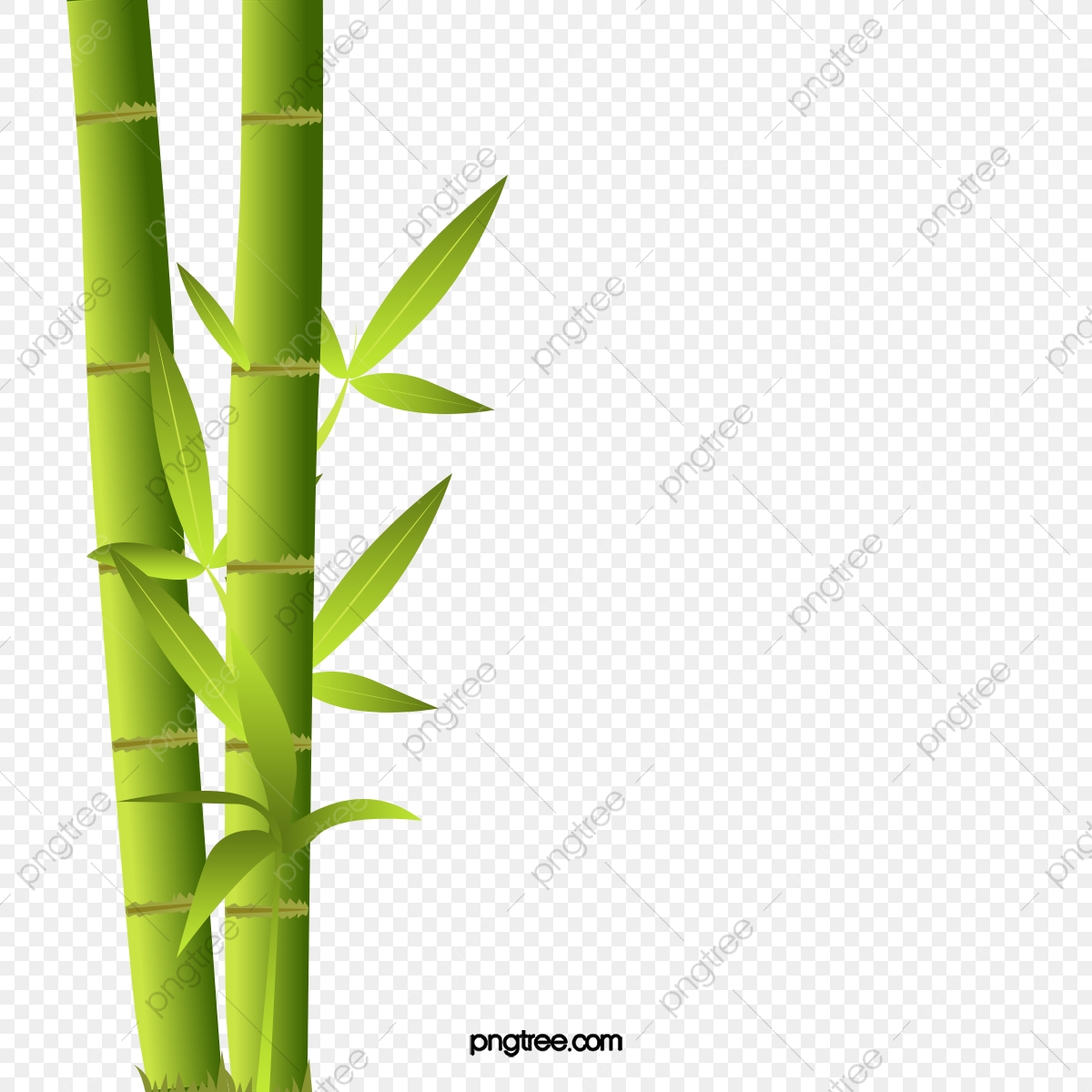 Bamboo Bamboo Silhouette, Bamboo Clipart, Bamboo Vector, Bamboo 1200x1200 Bamboo Bamboo Silhouette, Bamboo Clipart, Bamboo Vector, Bamboo