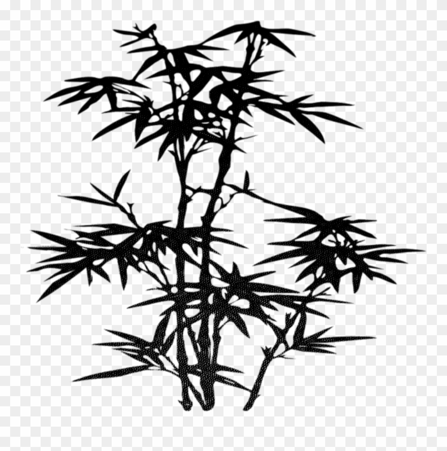 Drawing Tree Clip Art Zen Antiquity Transprent 880x888 Drawing Tree Clip Art Zen Antiquity Transprent