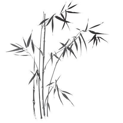 Huge Collection Of 'bamboo Silhouette Vector' Download More Than 414x414 Huge Collection Of 'bamboo Silhouette Vector' Download More Than