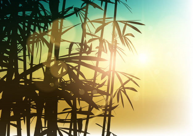 Silhouette Of Bamboo On Sunlight Background Free Vector 626x443 Silhouette Of Bamboo On Sunlight Background Free Vector