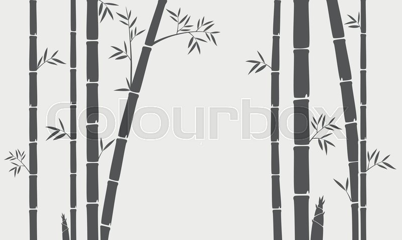 Vector Illustration Of Bamboo Tree Stock Vector Colourbox 800x479 Vector Illustration Of Bamboo Tree Stock Vector Colourbox