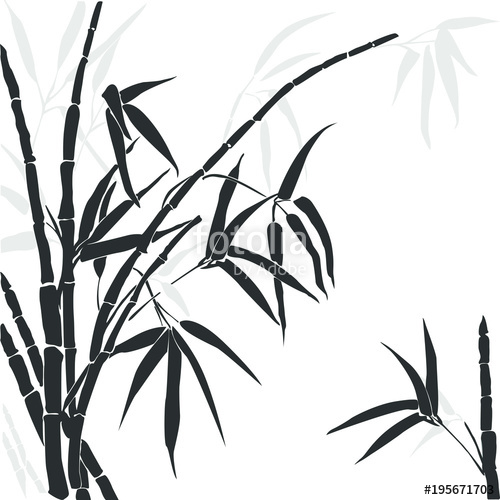 Vector Silhouette Of Bamboo Silhouette Bamboo Gray Colors 500x500 Vector Silhouette Of Bamboo Silhouette Bamboo Gray Colors