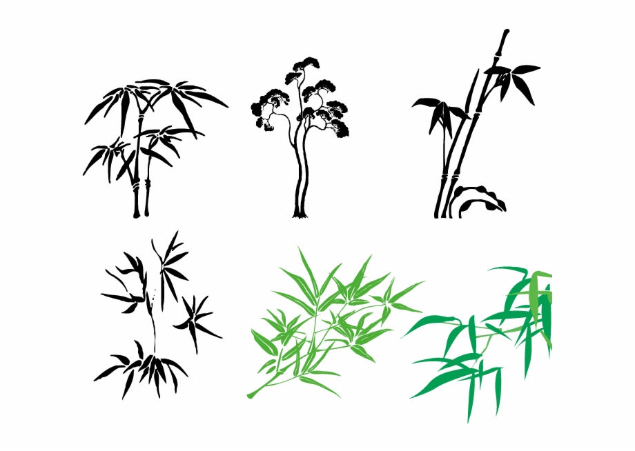 Bamboo Vector Illustrator 920x654 Bamboo Vector Illustrator