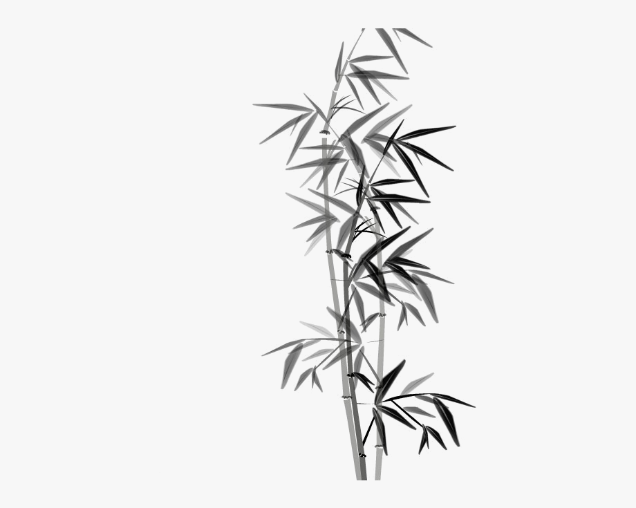 Bamboo Silhouette Vector at Vectorified.com | Collection of Bamboo ...