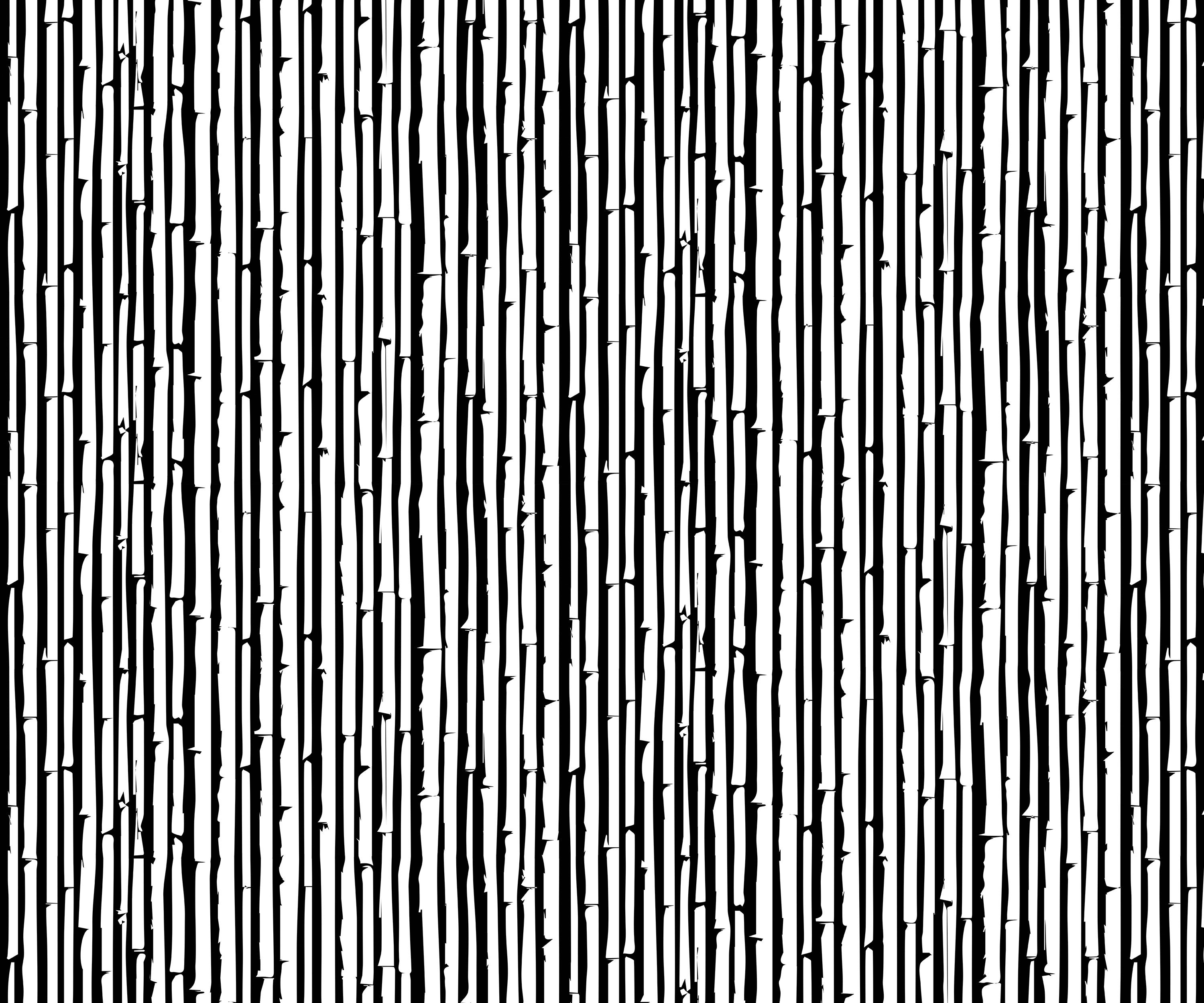 Bamboo Seamless Vector Patterns Patterns Textures Prints 3000x2500 Bamboo Seamless Vector Patterns Patterns Textures Prints