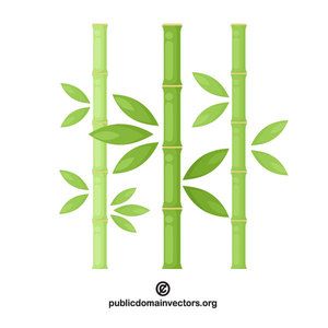 300x300 Bamboo Plant Vector Image