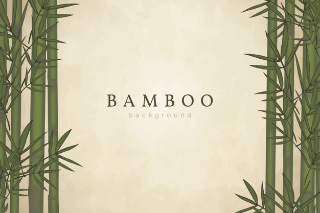 626x417 Bamboo Tree Background Vector Free Download