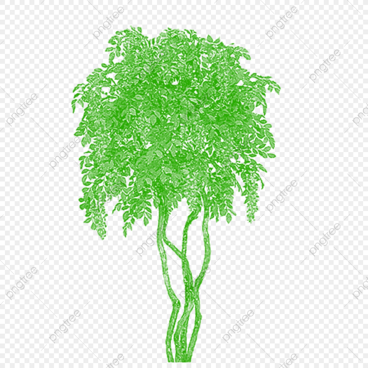 1200x1200 Clipart Bamboo Tree Vector Vector, Tree Png Plan, Tree Png Clipart