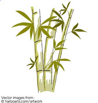 335x355 Download Bamboo Drawing