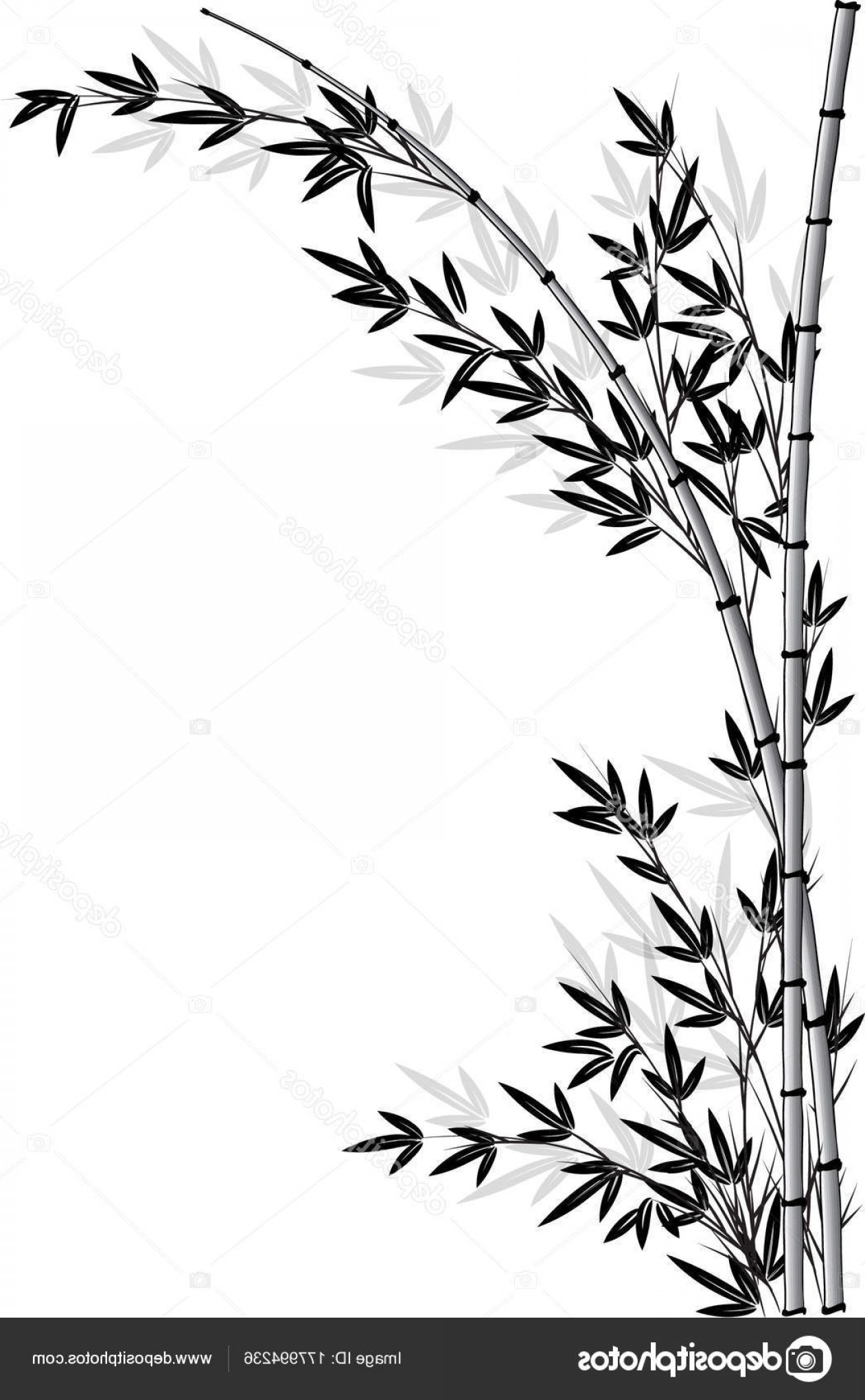 1260x2040 Stock Illustration Bamboo Tree Vector Drawing Hoodamathrun