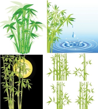 332x368 Vector Bamboo Plants Free Vector Download