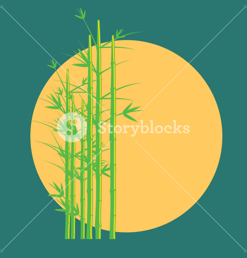959x1000 Vintage Bamboo Tree Vector Illustration Royalty Free Stock Image
