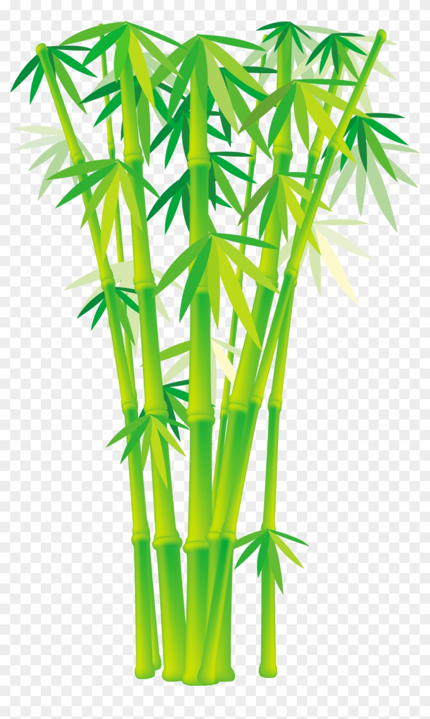 840x1405 Bamboo And Grass Plant Vector