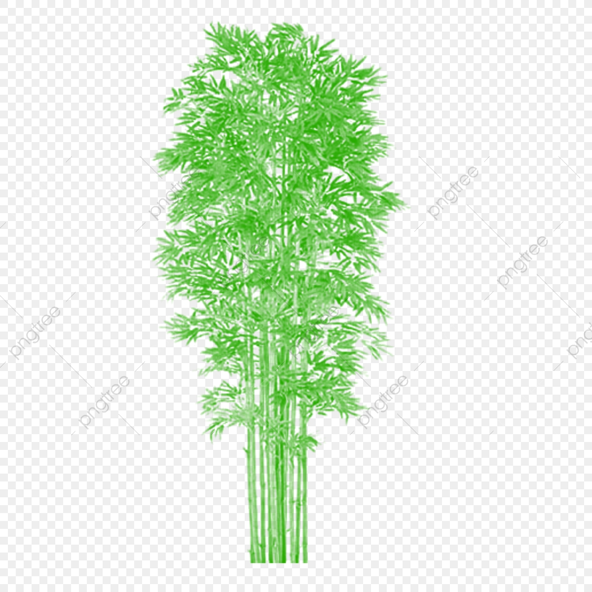 1200x1200 Bamboo Tree Clipart Vector Png, Tree Png Plan, Tree Png Clipart