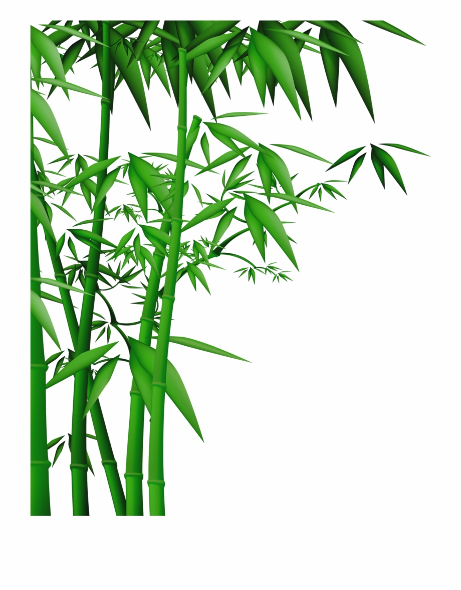 920x1176 Bamboo Vector Wall