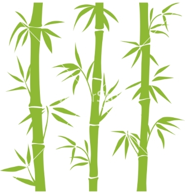 Bamboo Vector