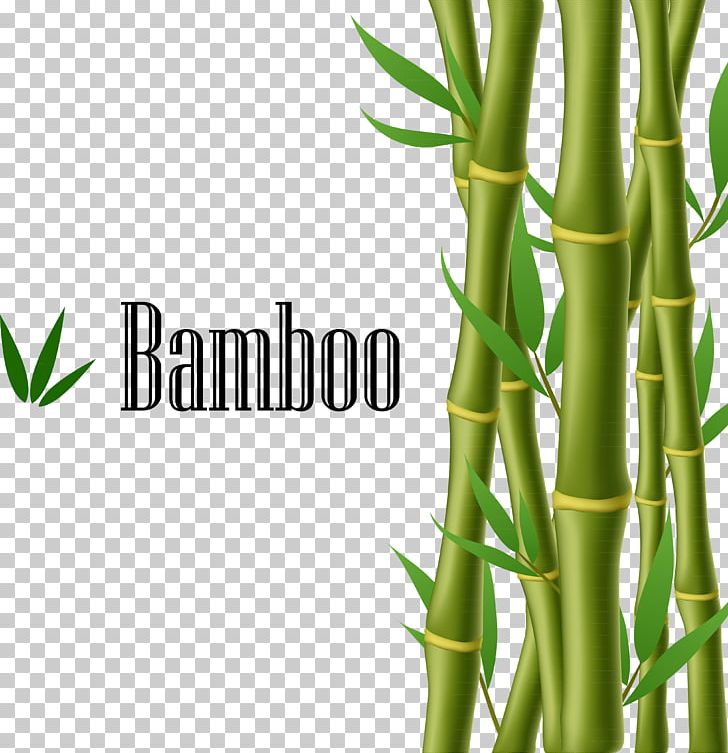 728x753 Bamboo Illustration Png, Clipart, Background Green, Bamboo, Bamboo
