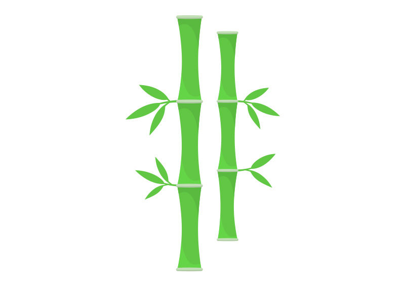 800x566 Bamboo Vector Illustration