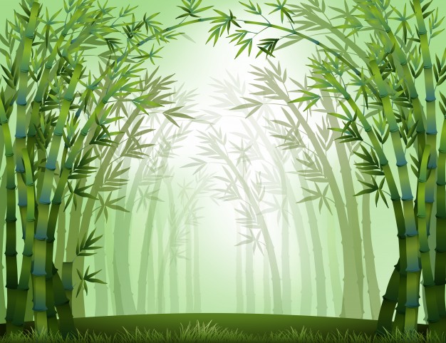 626x481 Bamboo Vectors, Photos And Free Download