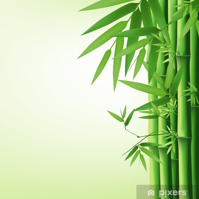 700x700 Bamboo Vector Illustration Poster
