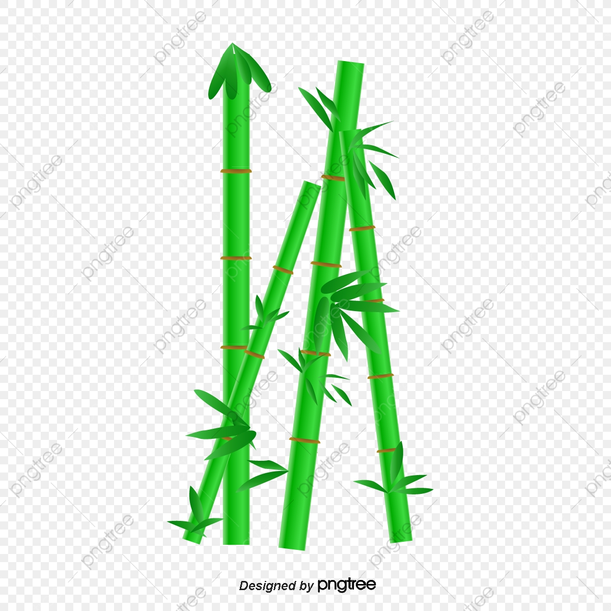 1200x1200 Cartoon Bamboo Vector, Bamboo, Bamboo Leaves, Plant Png And Vector