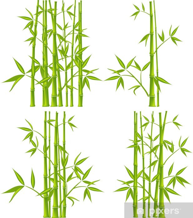 618x700 Bamboo, Vector