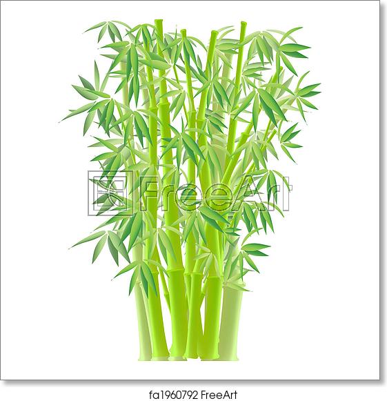 561x581 Free Art Print Of Vector Bamboo Vector Bamboo Isolated