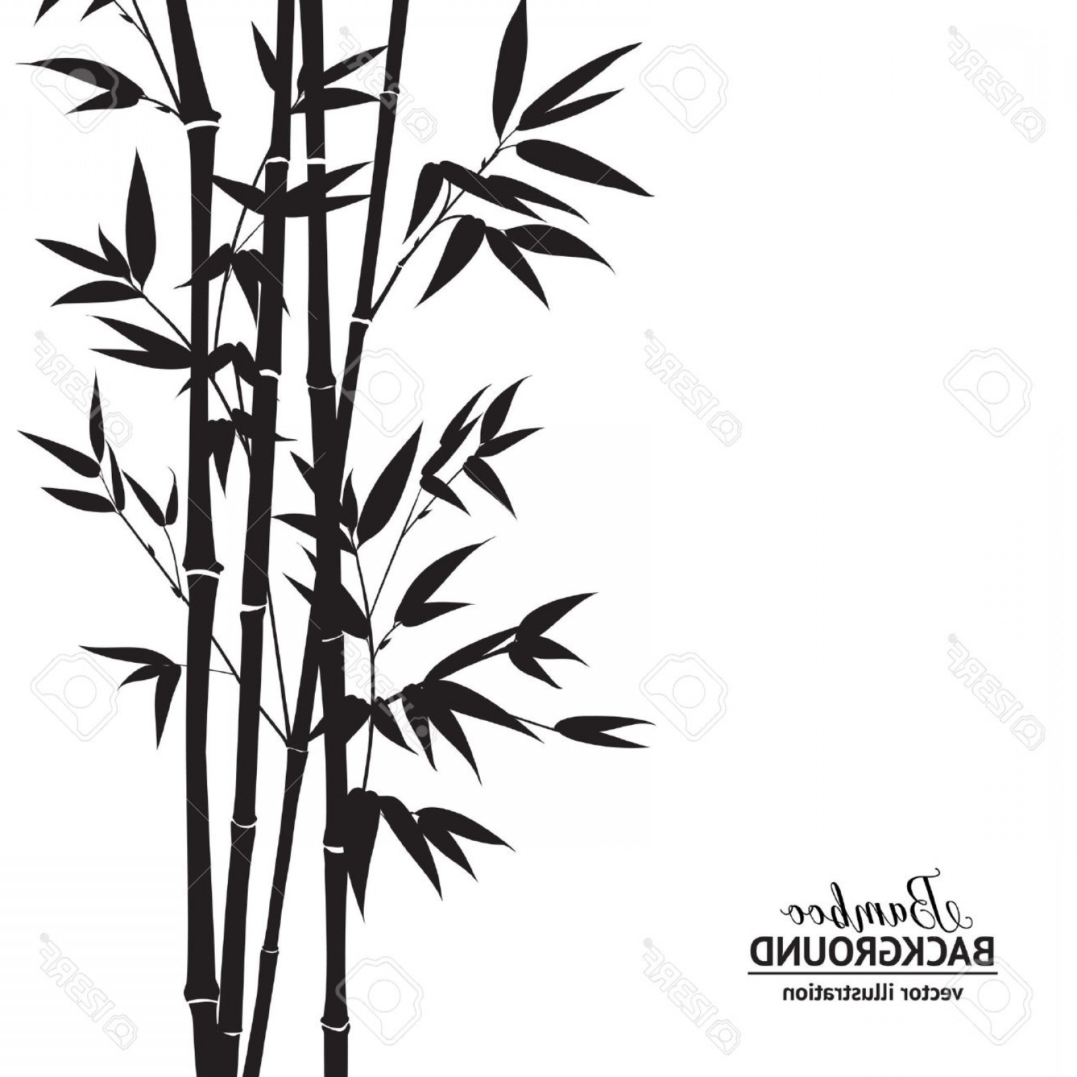 1560x1560 Photostock Vector Bamboo Bush Ink Painting Over White Background