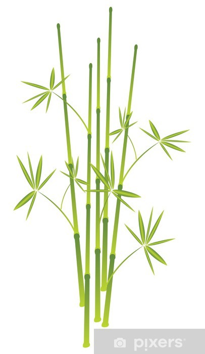 406x700 Bamboo, Vector Illustration Wall Mural