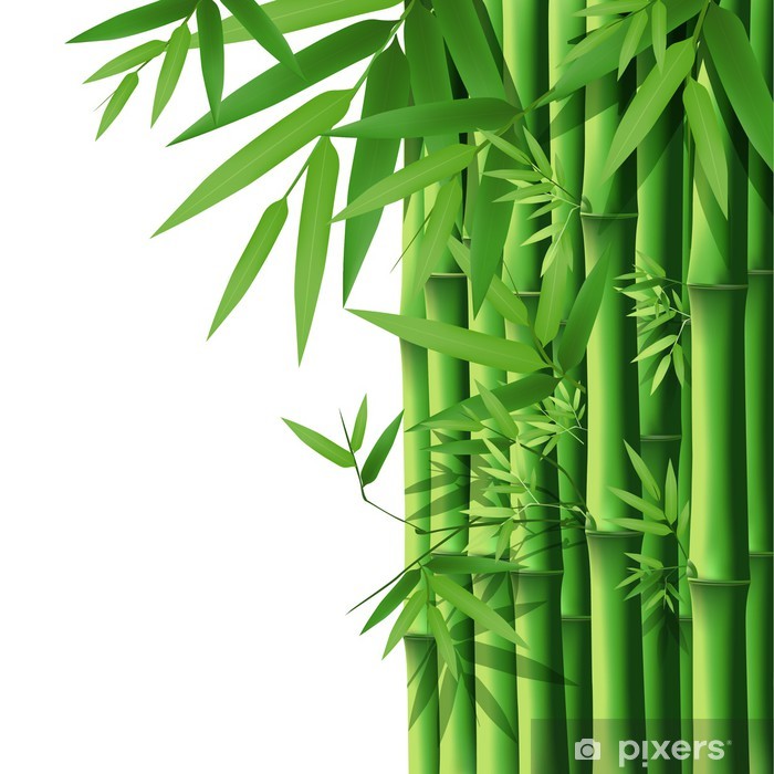 700x700 Bamboo, Vector Illustration Wall Mural We Live To Change