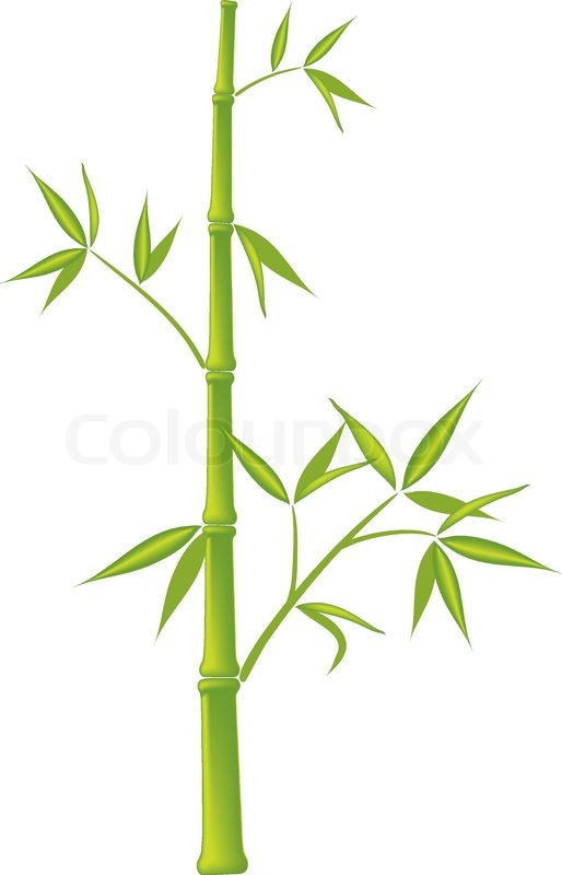 514x800 Bamboo,vector Illustration