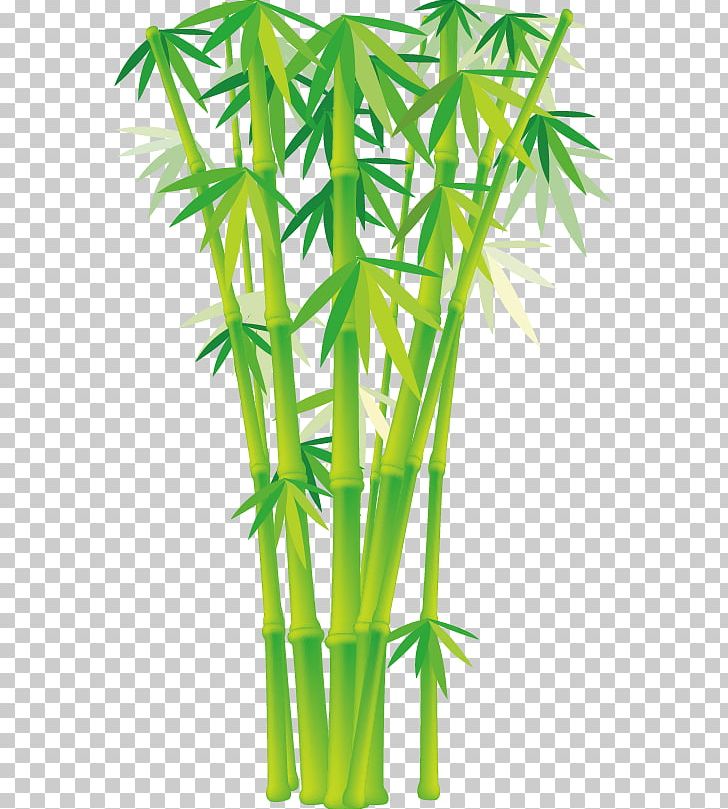 728x809 Bamboo Euclidean Png, Clipart, Bamboo Leaves, Bamboo Vector, Boy