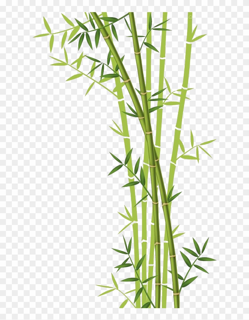840x1081 Bamboo Forest Euclidean Vector Stock Photography