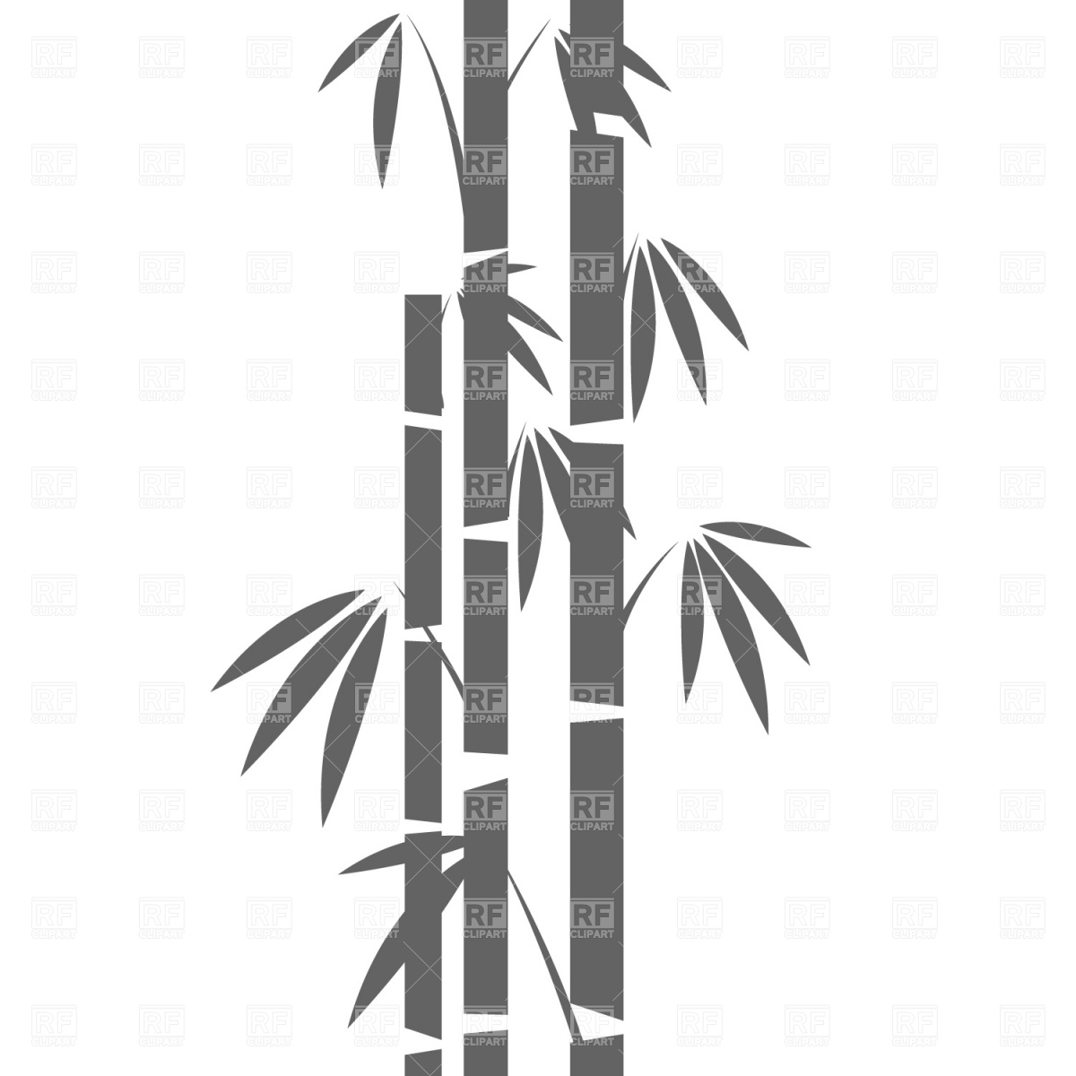 1200x1200 Bamboo Drawing Vector Image Of Plants And Animals Prague
