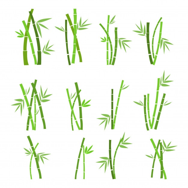 626x626 Bamboo Node Vector Free Download