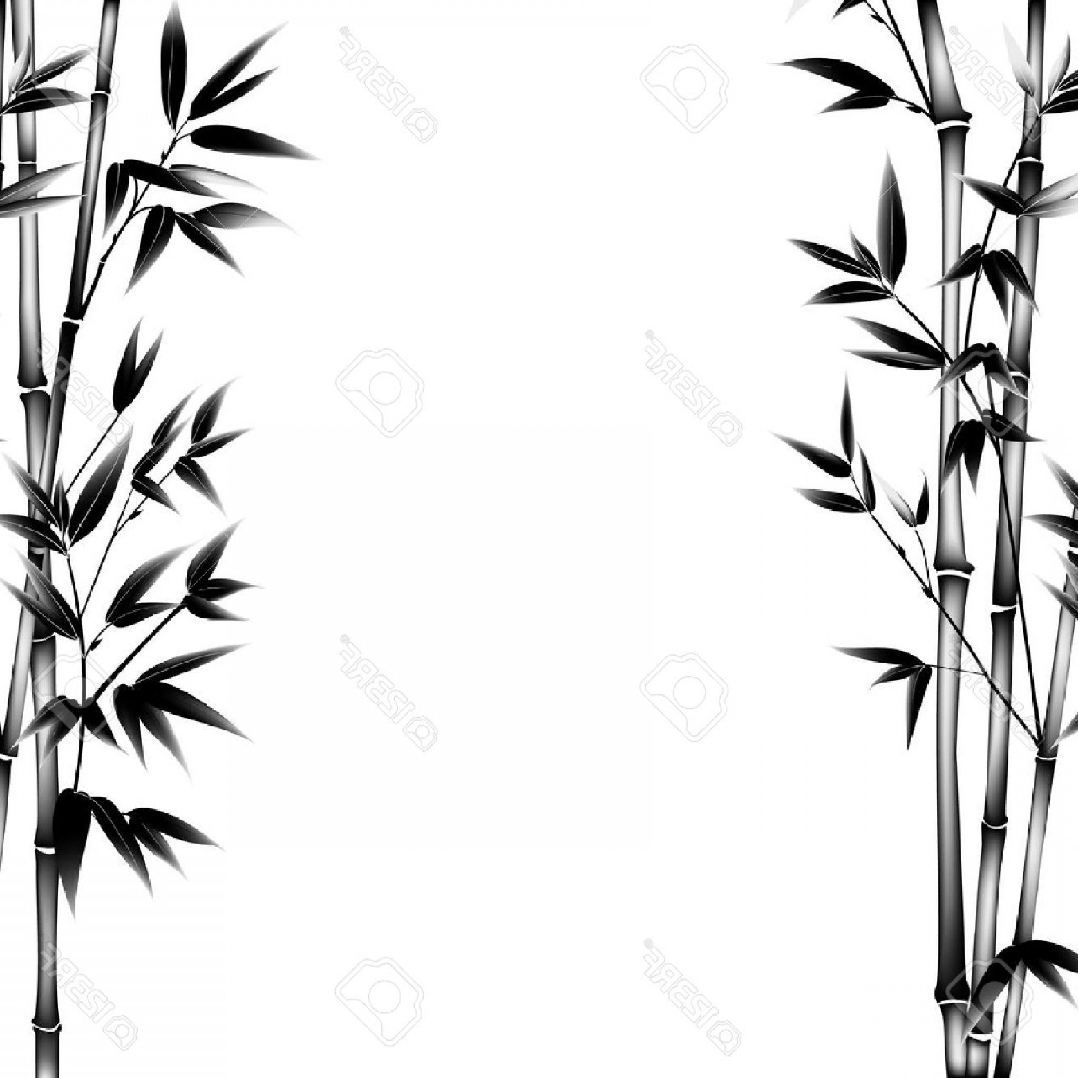 1560x1560 Photostock Vector Ink Paint Bamboo Bush Decorative Bamboo Branches