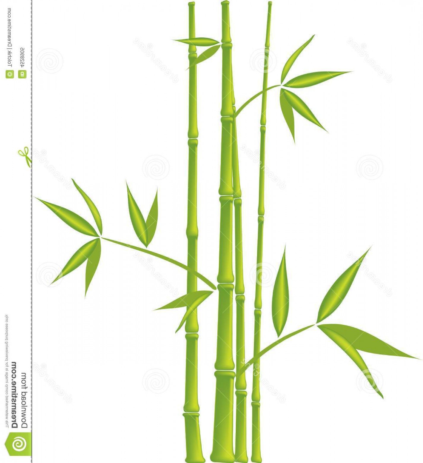 1425x1560 Royalty Free Stock Photo Bamboo Vector Mesh Image Soidergi