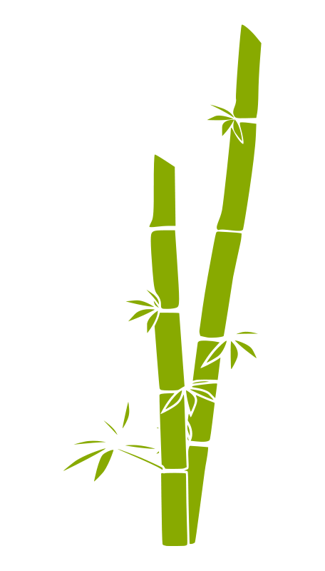 456x800 Free Vector Bamboo Ok Pare In Bamboo Drawing, Bamboo
