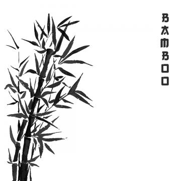 360x360 Bamboo Vector, Free Download Bamboo Tree, Bamboo Leaves, Bamboo