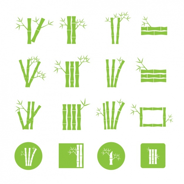 626x626 Bamboo Vectors, Photos And Free Download