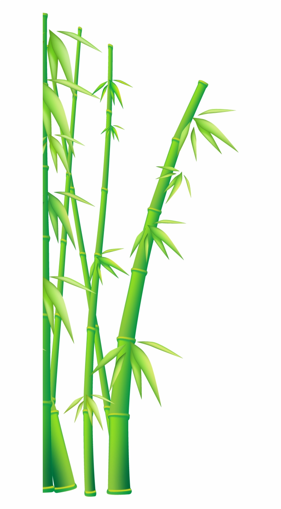 920x1665 Bamboo Vector Clipart Png Download