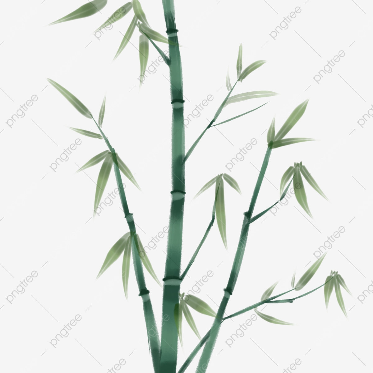 1200x1200 Bamboo Vector Download, Bamboo Clipart, Bamboo Bar Vector, Green